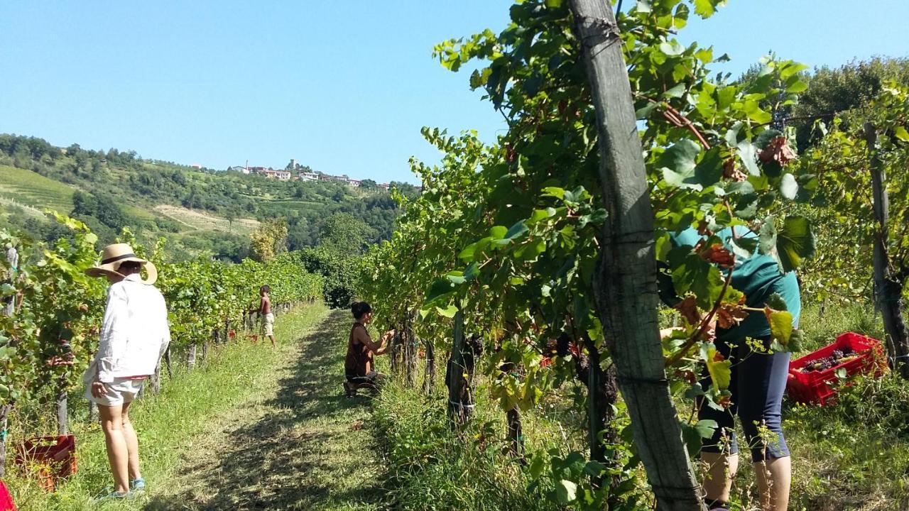 Farmstay Kmetija Stekar Kojsko المظهر الخارجي الصورة