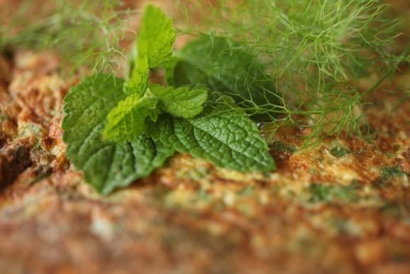 Farmstay Kmetija Stekar Kojsko المظهر الخارجي الصورة