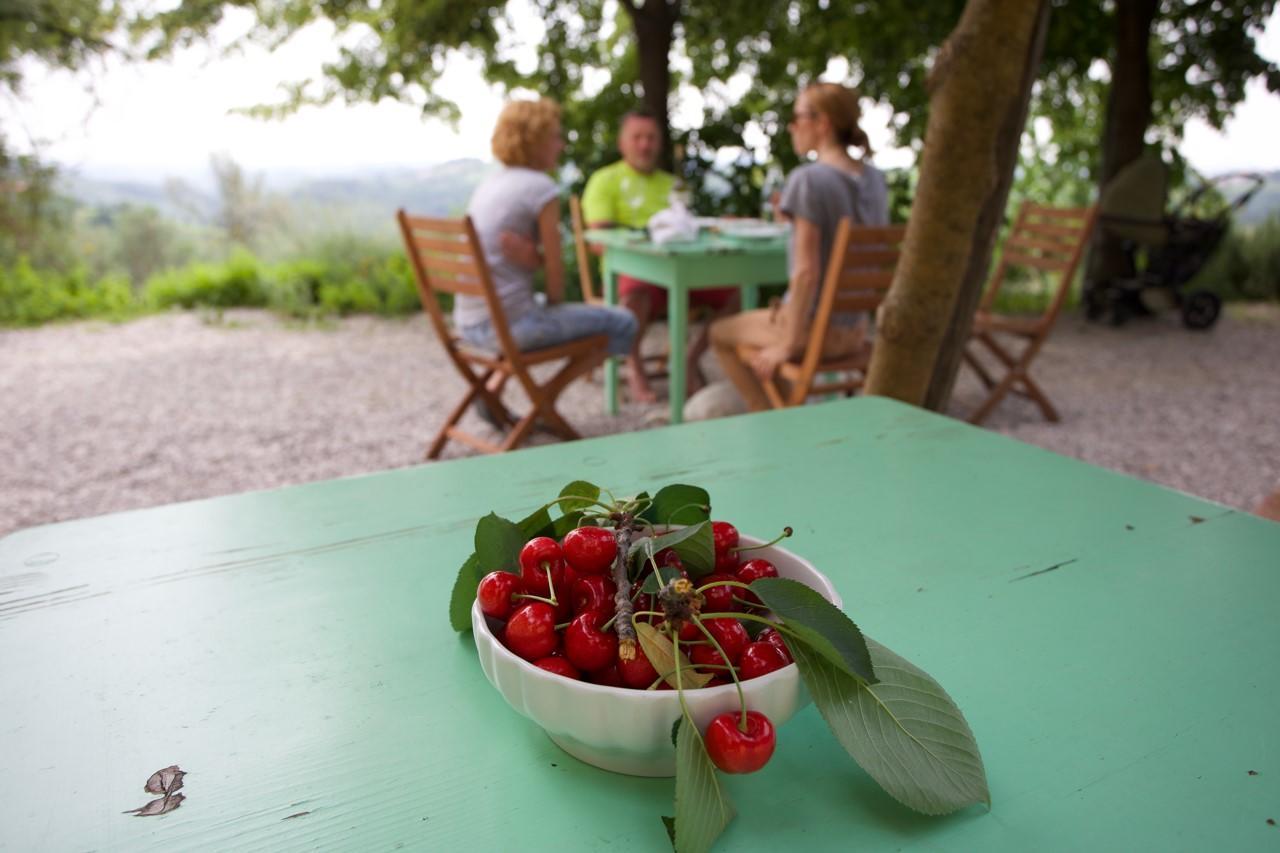 Farmstay Kmetija Stekar Kojsko المظهر الخارجي الصورة